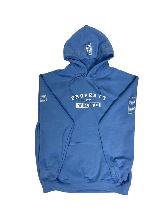 P.O.Y Hoodie Guardian (Caro Blue)