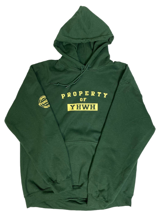 P.O.Y CLASSIC HOODIE (GRN)