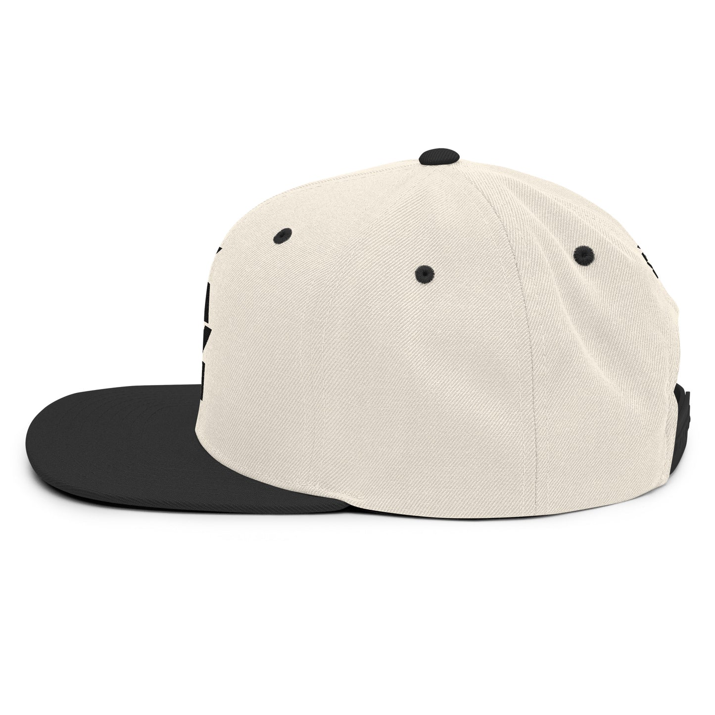 Y SIG '25 Snapback Hat