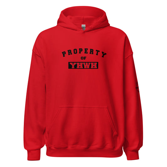 P.O.Y Signature Hoodie R/blk