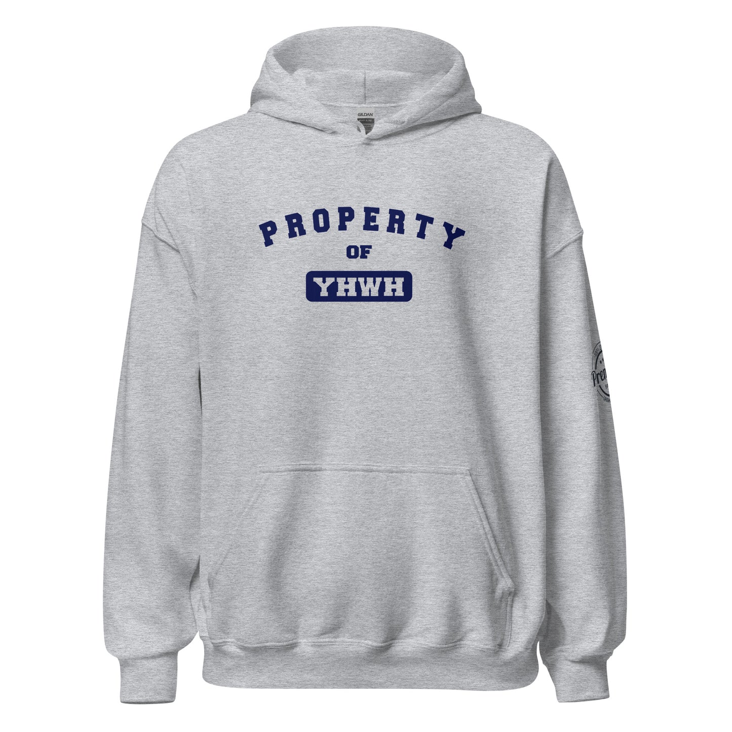 P.O.Y GRY/BLU Unisex Hoodie