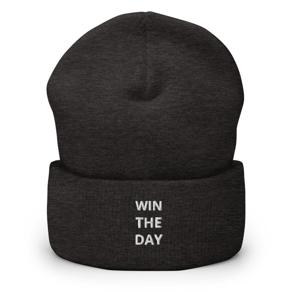 WTD Cuffed Beanie