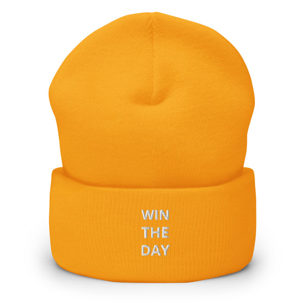 WTD Cuffed Beanie