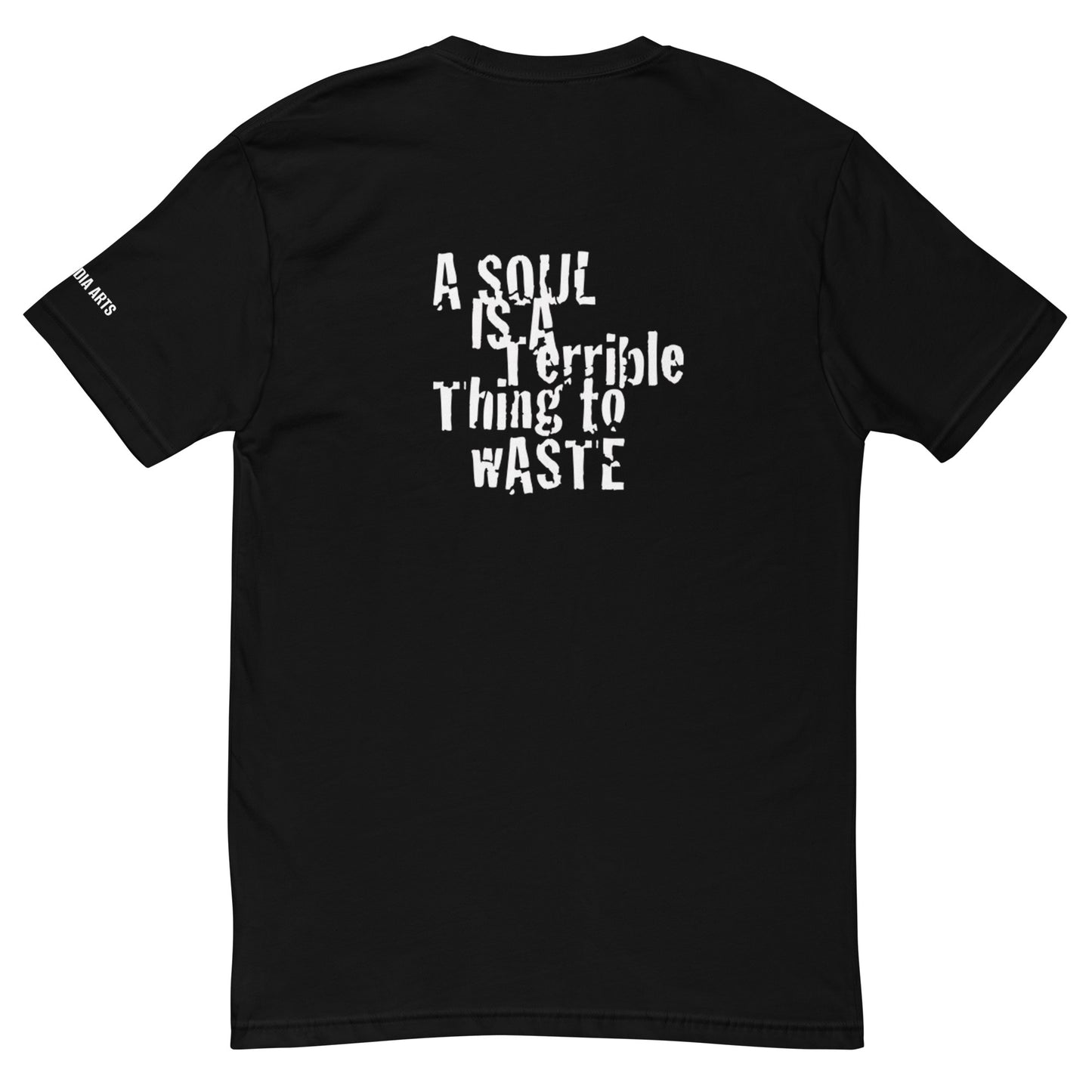 A SOUL IS A TERRIBLE THING TO WASTE TSHIRT BLK